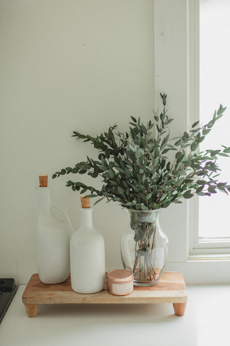 Italian short willow (Parvifolia)